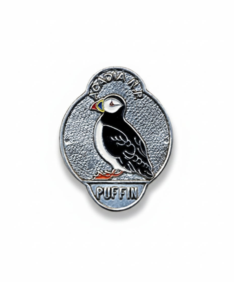 Acadia National Park Puffin Bird