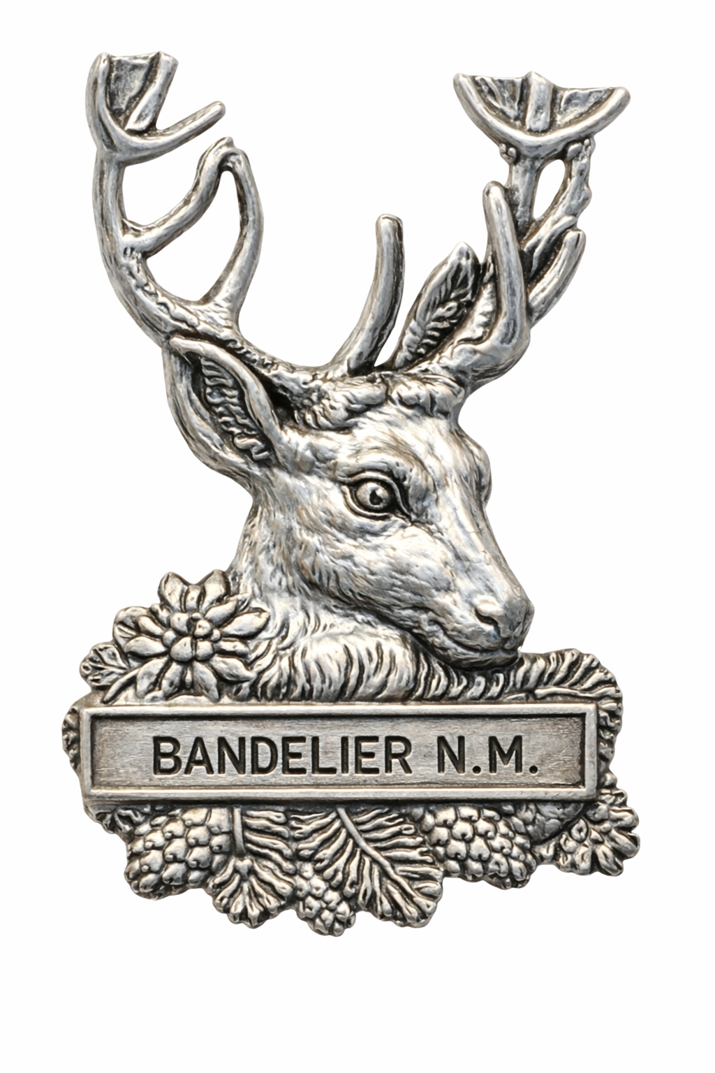 Bandelier National Monument Deer