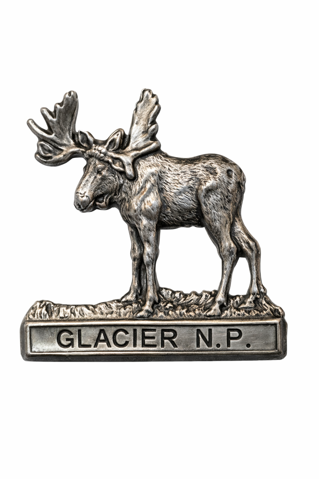 Glacier National Park National Park Moose