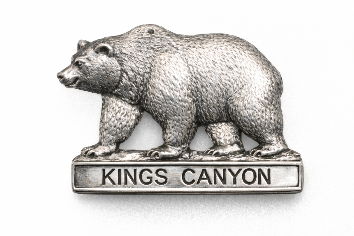 Kings Canyon National Park Bear