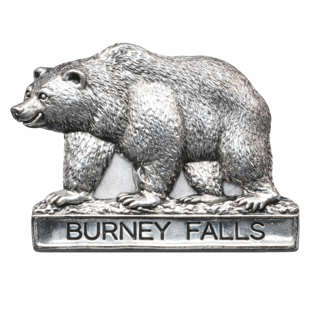 Burney Falls State Park Bear