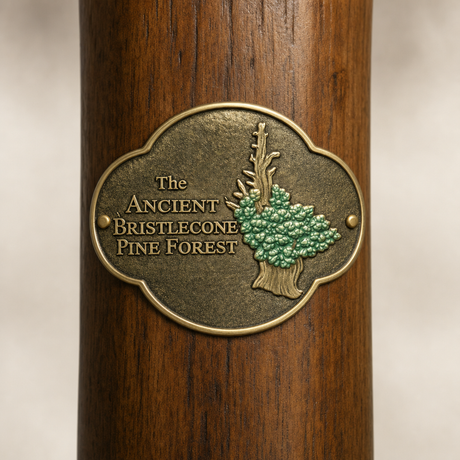 Bristlecone Pine Forest National Park hiking stick medallion installed on a wooden hiking staff