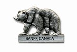 Banff Canadian National Park Bear