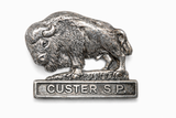 Custer State Park