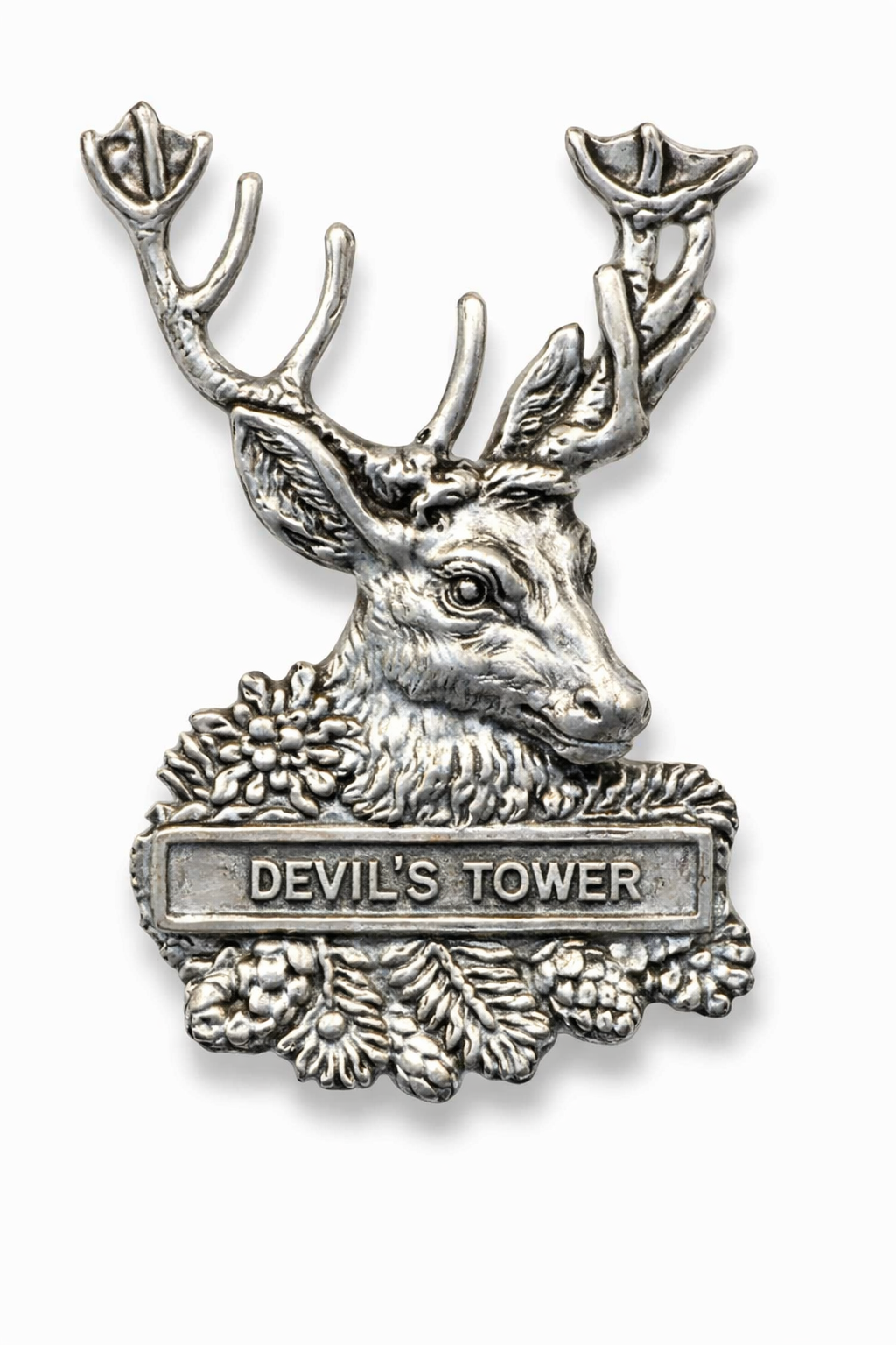 Devil's Tower National Monument Deer