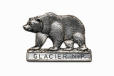 Glacier National Park National Park Bear