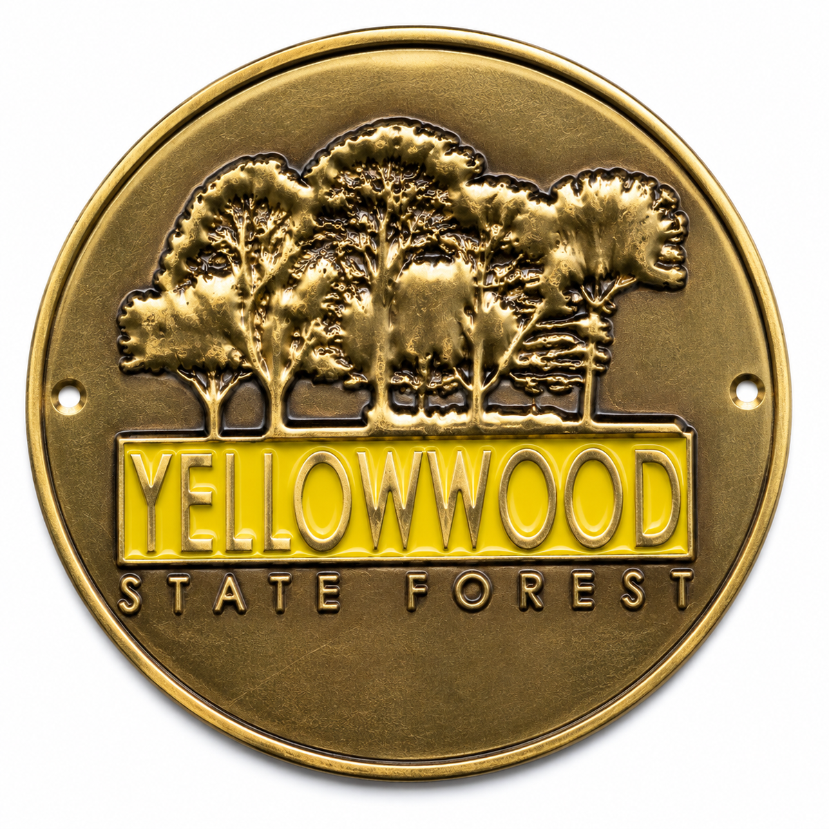 Yellowwood State Forest