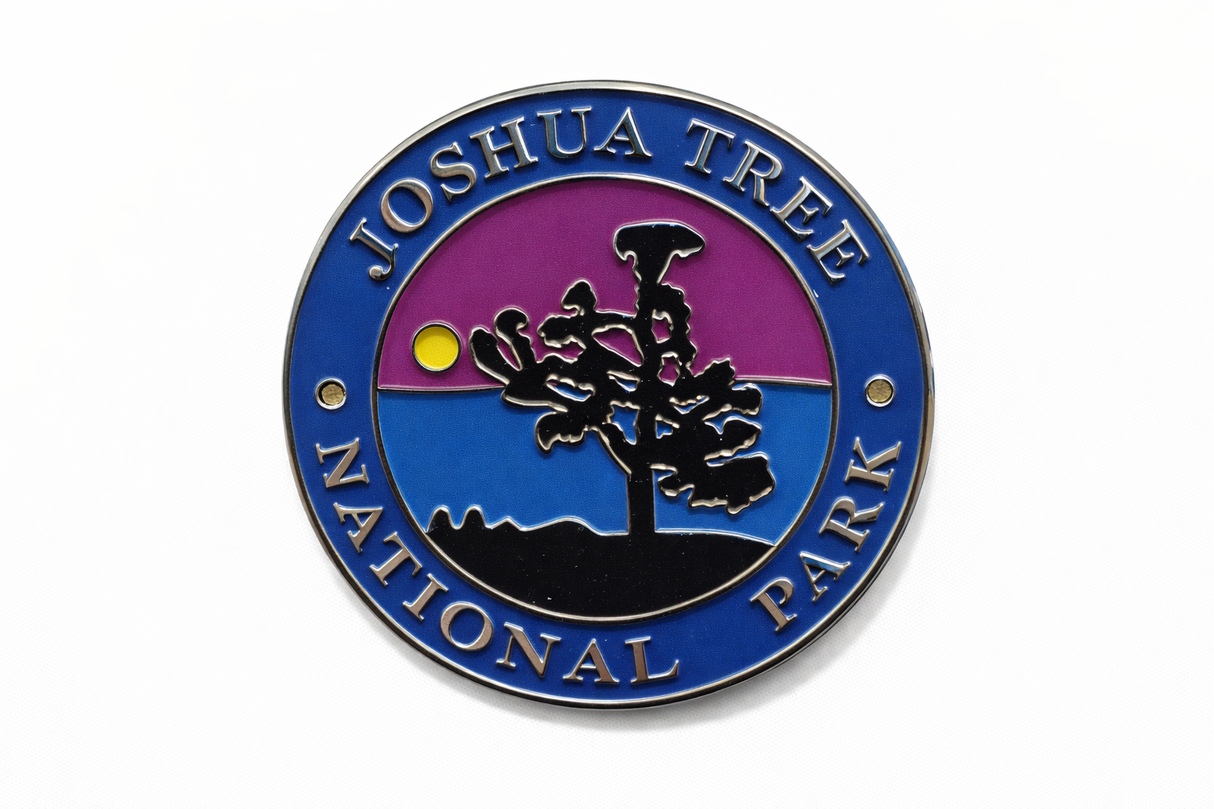 Joshua Tree National Park - Night View