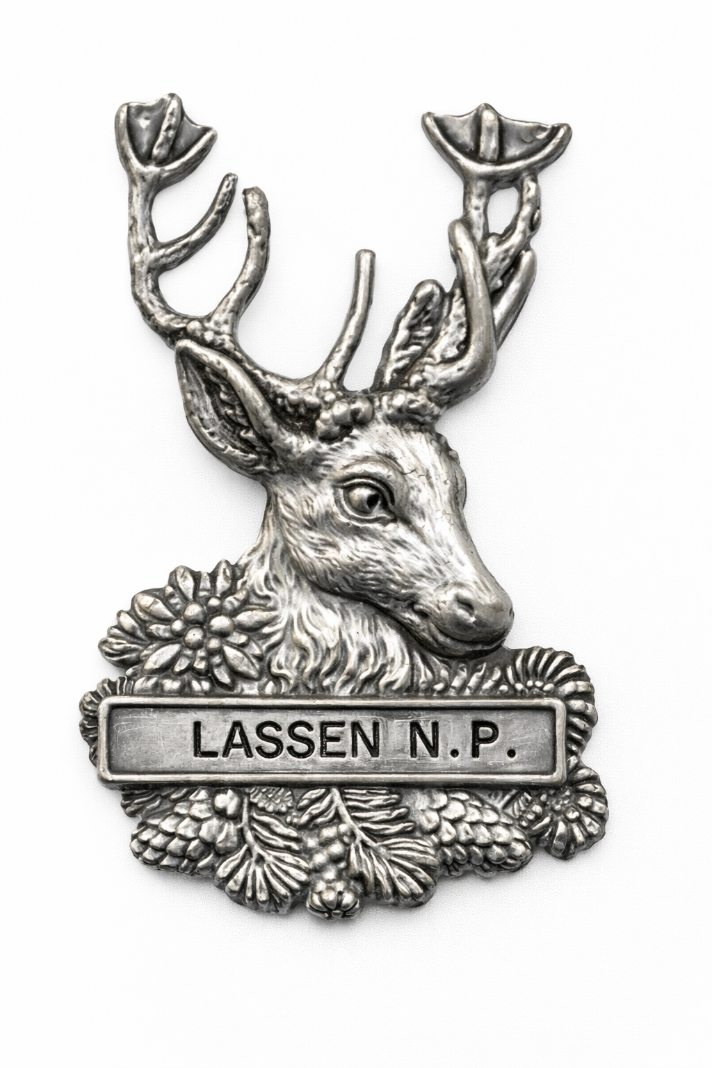 Lassen Volcanic National Park Deer