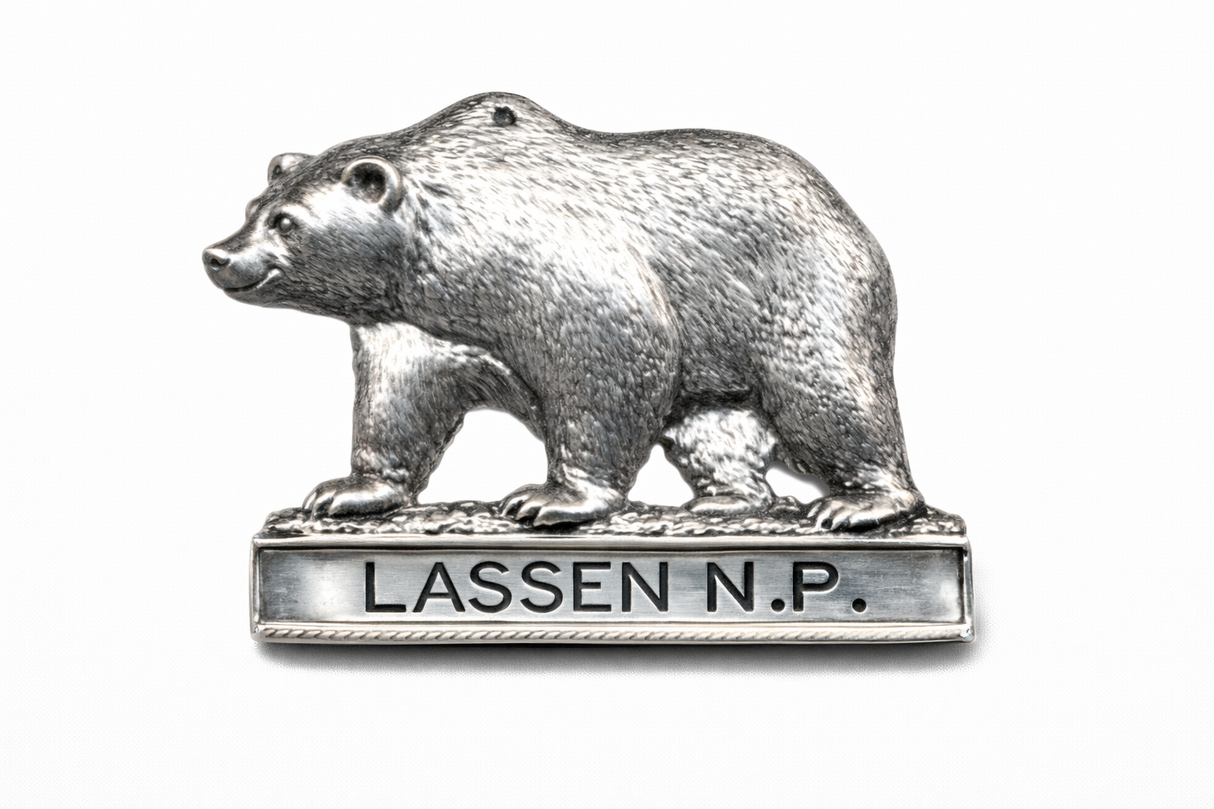 Lassen Volcanic National Park Bear