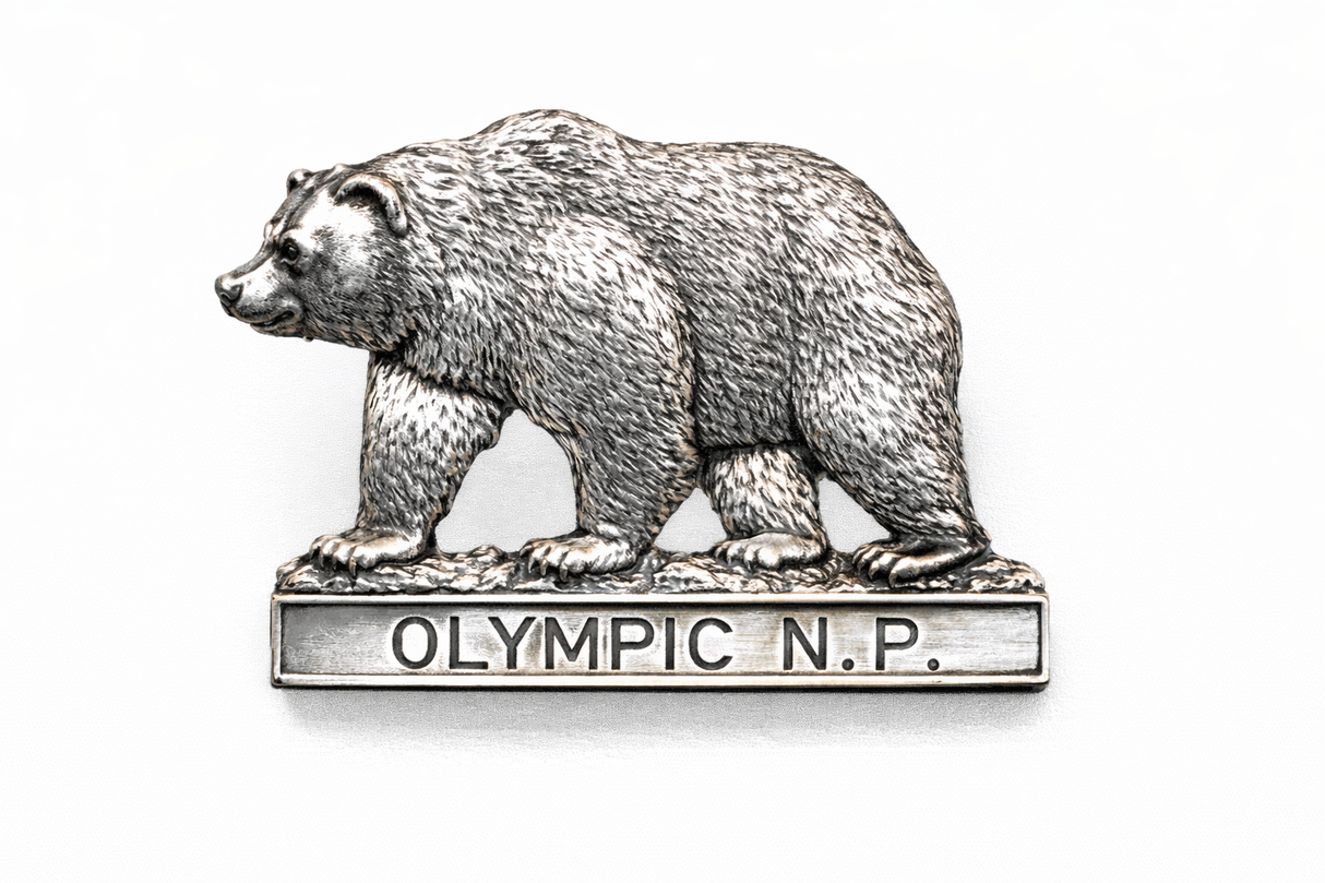 Olympic National Park Bear