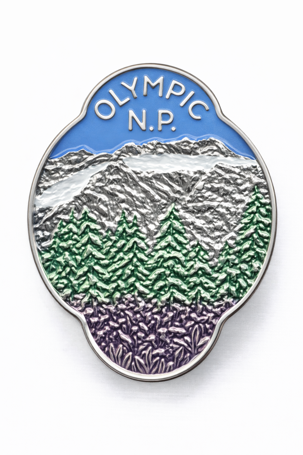 Olympic National Park Mountain View
