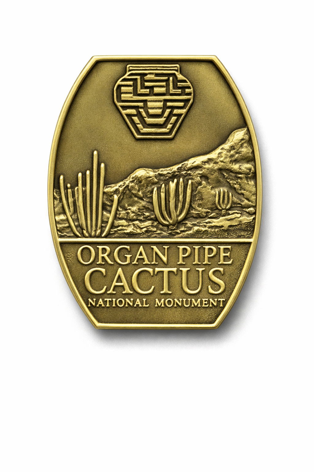 Organ Pipe Cactus National Monument View