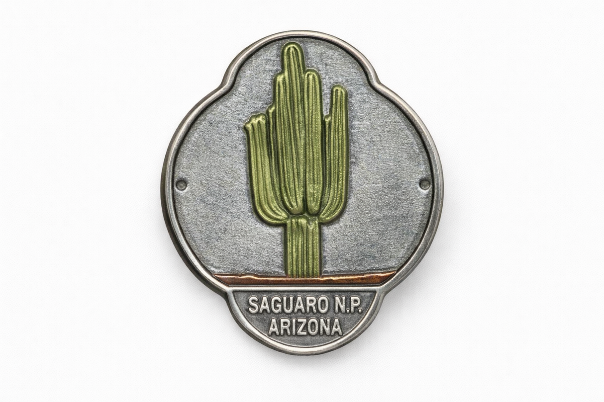 Saguaro National Park Cactus
