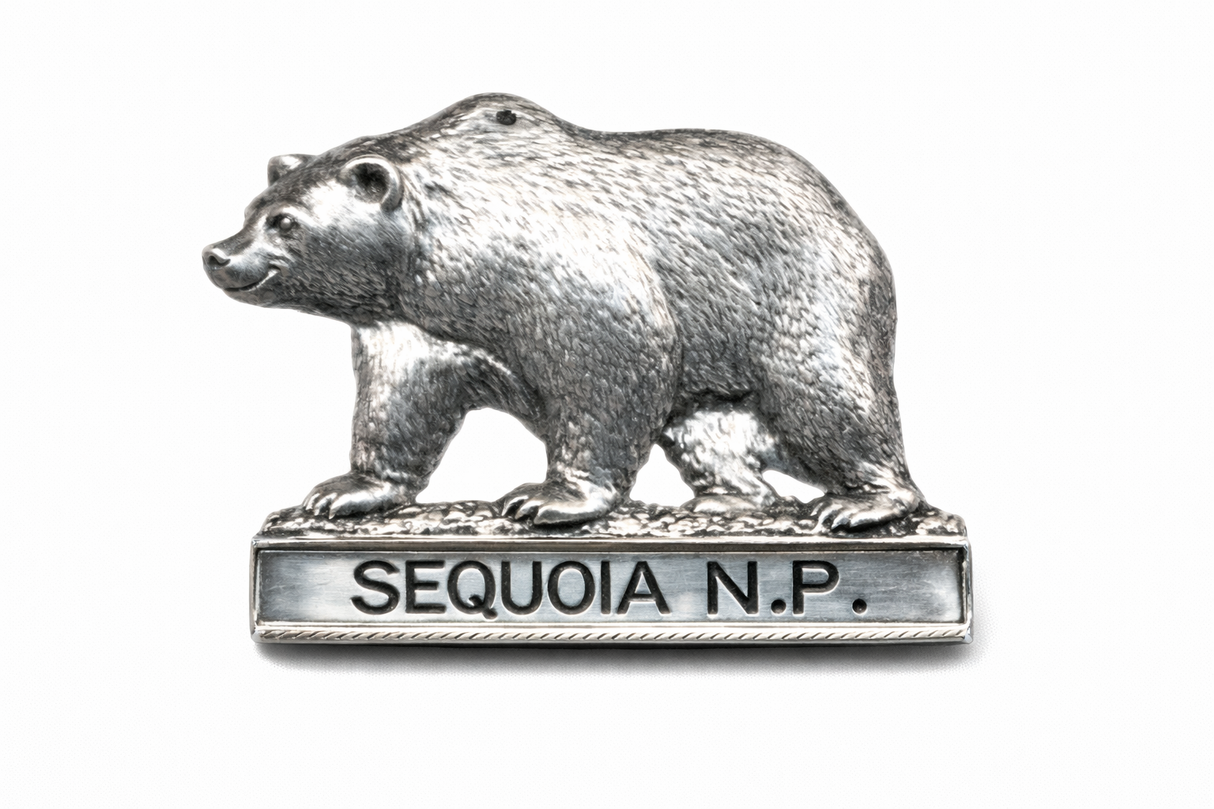 Sequoia National Park Bear