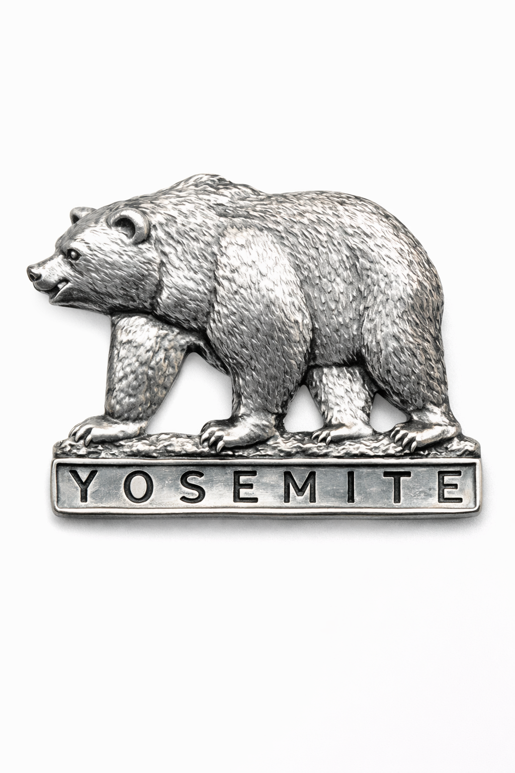 Yosemite National Park Bear