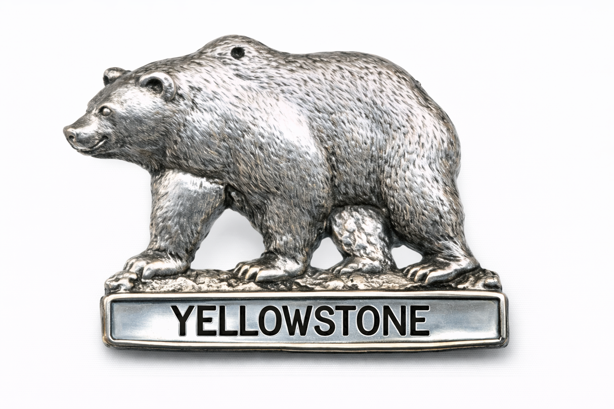 Yellowstone National Park Bear