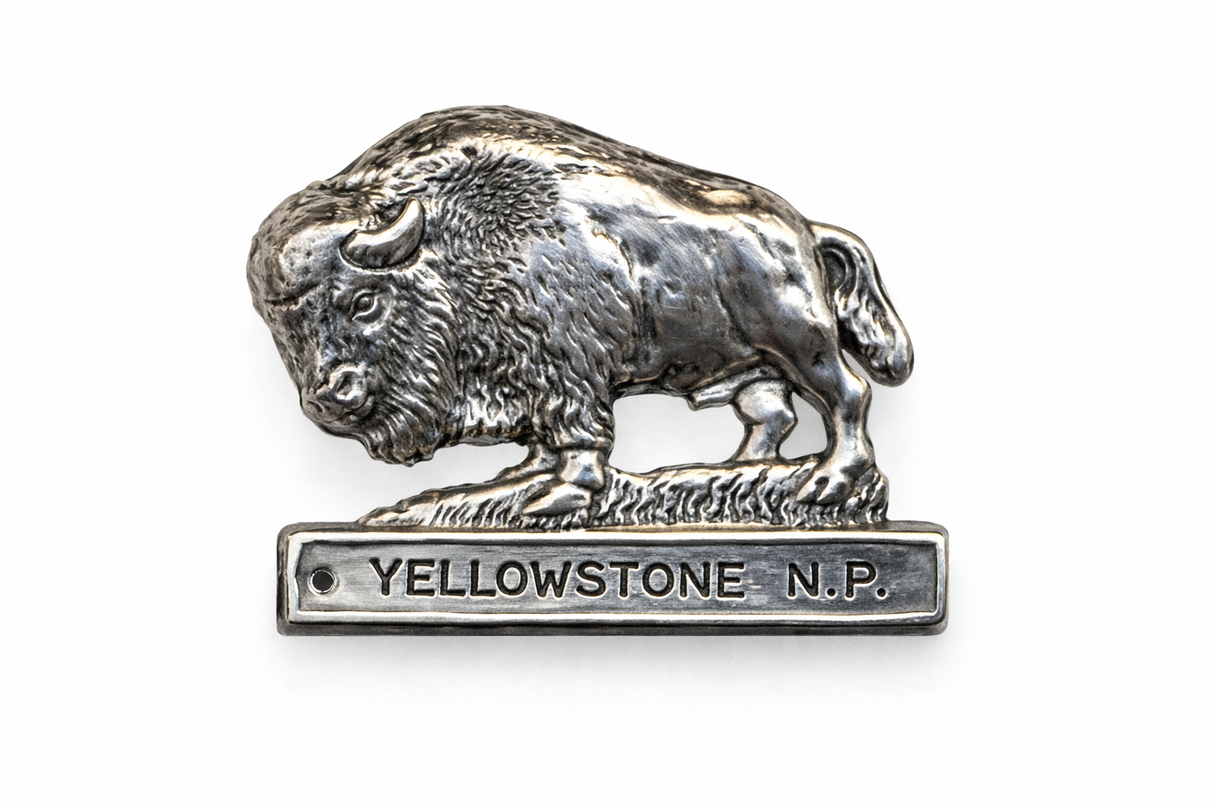 Yellowstone National Park Buffalo