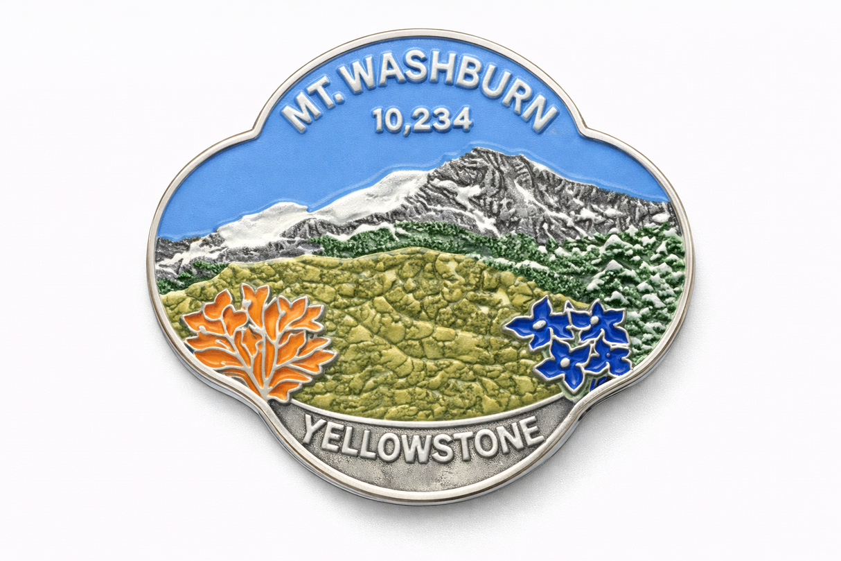 Yellowstone National Park Mt. Washburn